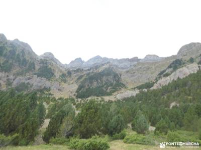Valle del Tena - Pirineos Atlánticos; dias internacionales fuentes de algar ponton de la oliva casti